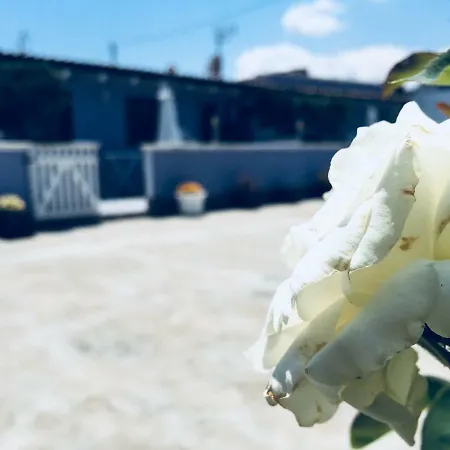 Apartmán Casa Alice *